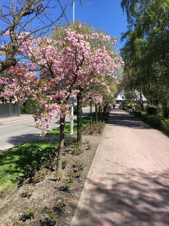 Apartamenty Nad Potoczkiem Ustroń Εξωτερικό φωτογραφία